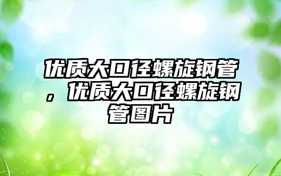 優(yōu)質(zhì)大口徑螺旋鋼管，優(yōu)質(zhì)大口徑螺旋鋼管圖片